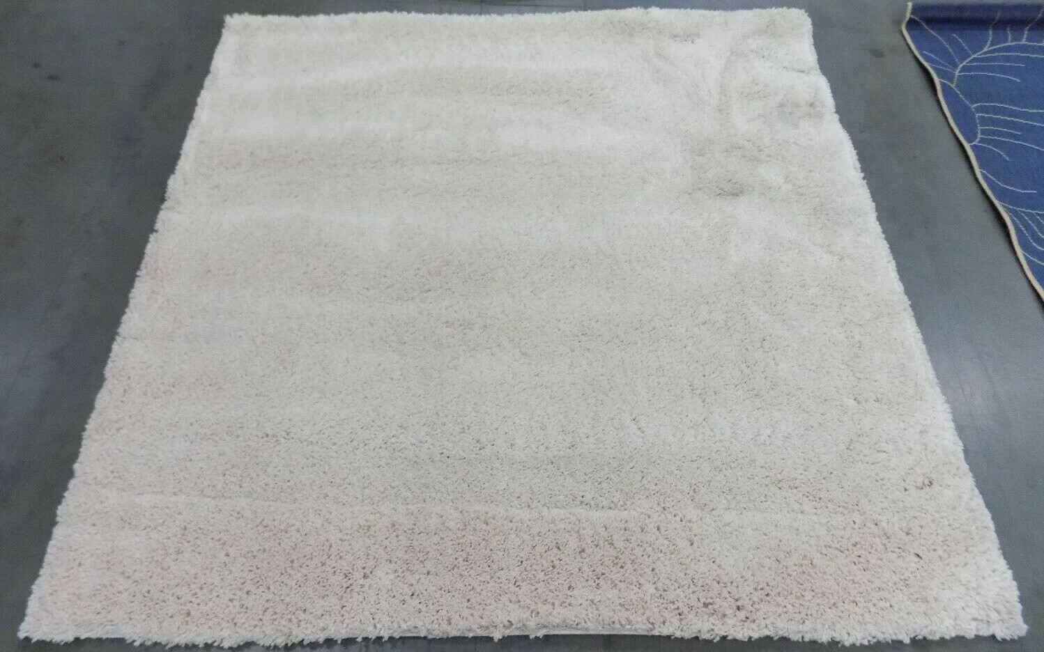 IVORY 5′-1″ X 5′-1″ Stain on Rug Reduced Price 1172579109 SG180-1212-5SQ