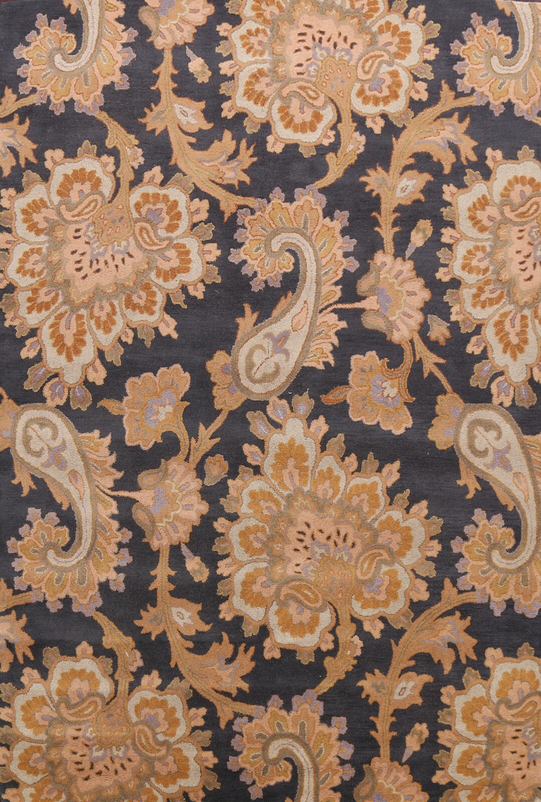 Floral Paisley Traditional Oriental Area Rug Living Room Hand-Tufted 8×11 Carpet
