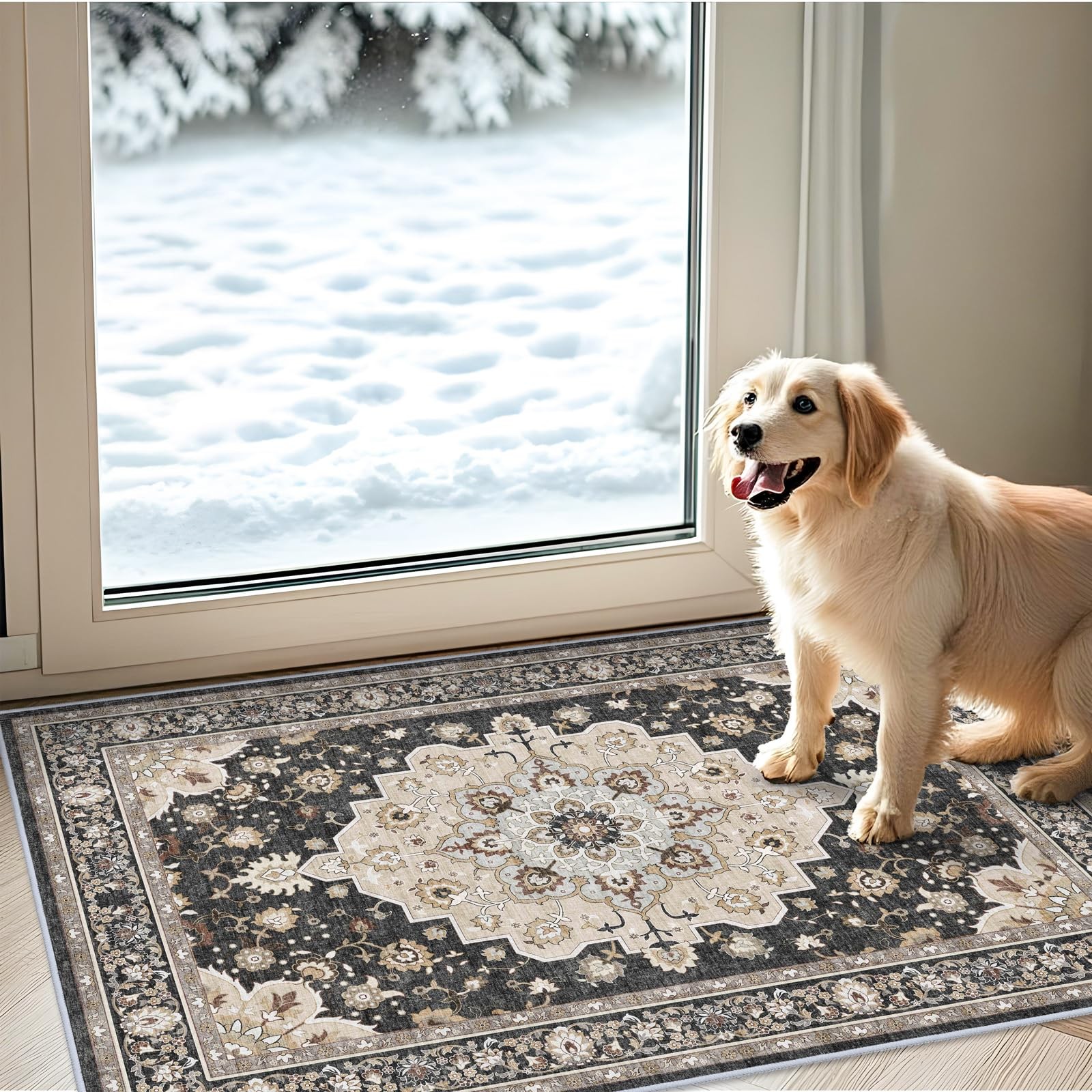NonSlip 2×3 Entryway Rug Washable, WaterResistant, Soft Low Pile Mat