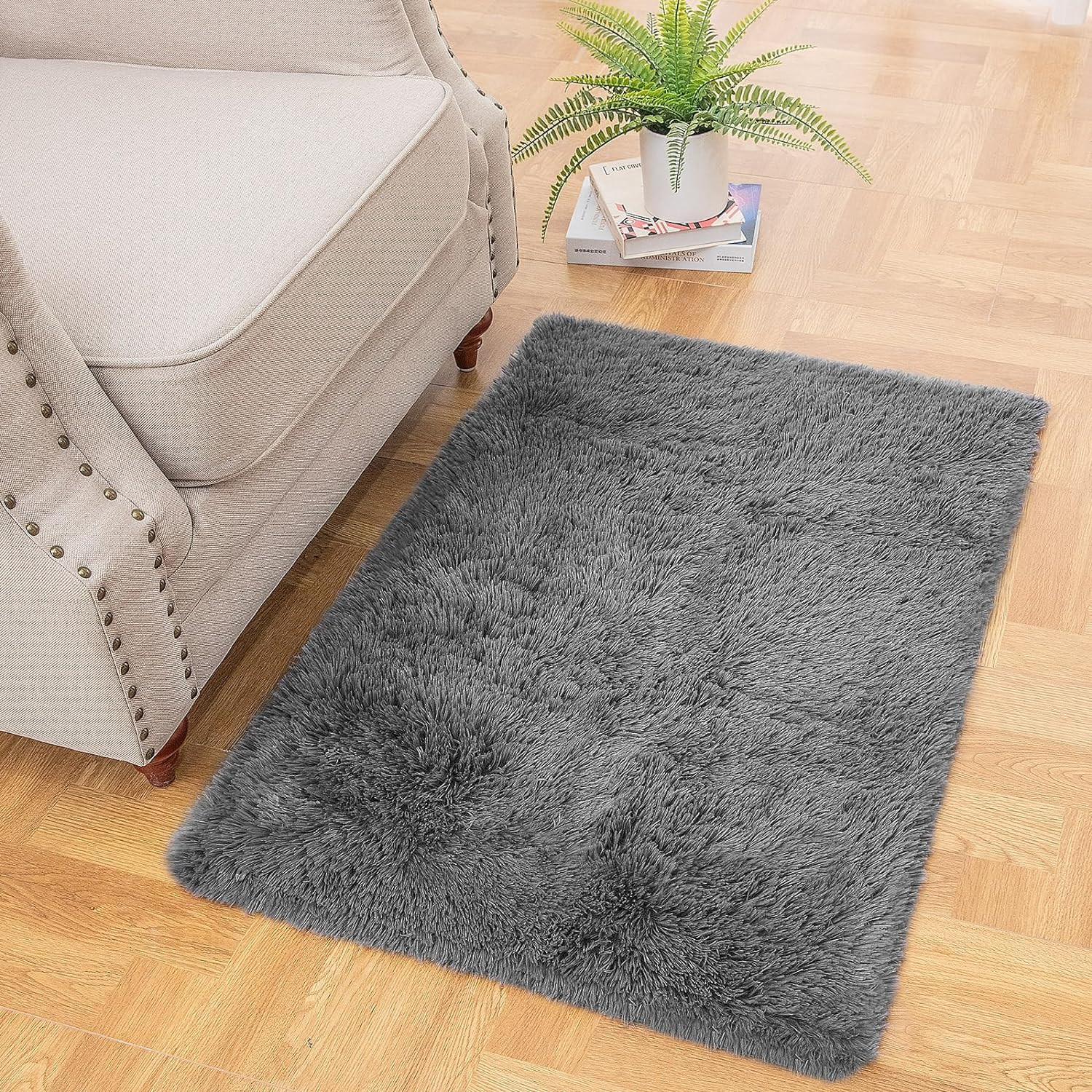 Ophanie Small Throw Rugs for Bedroom 2×3 Cheap Mini Area Rug Affordable Non
