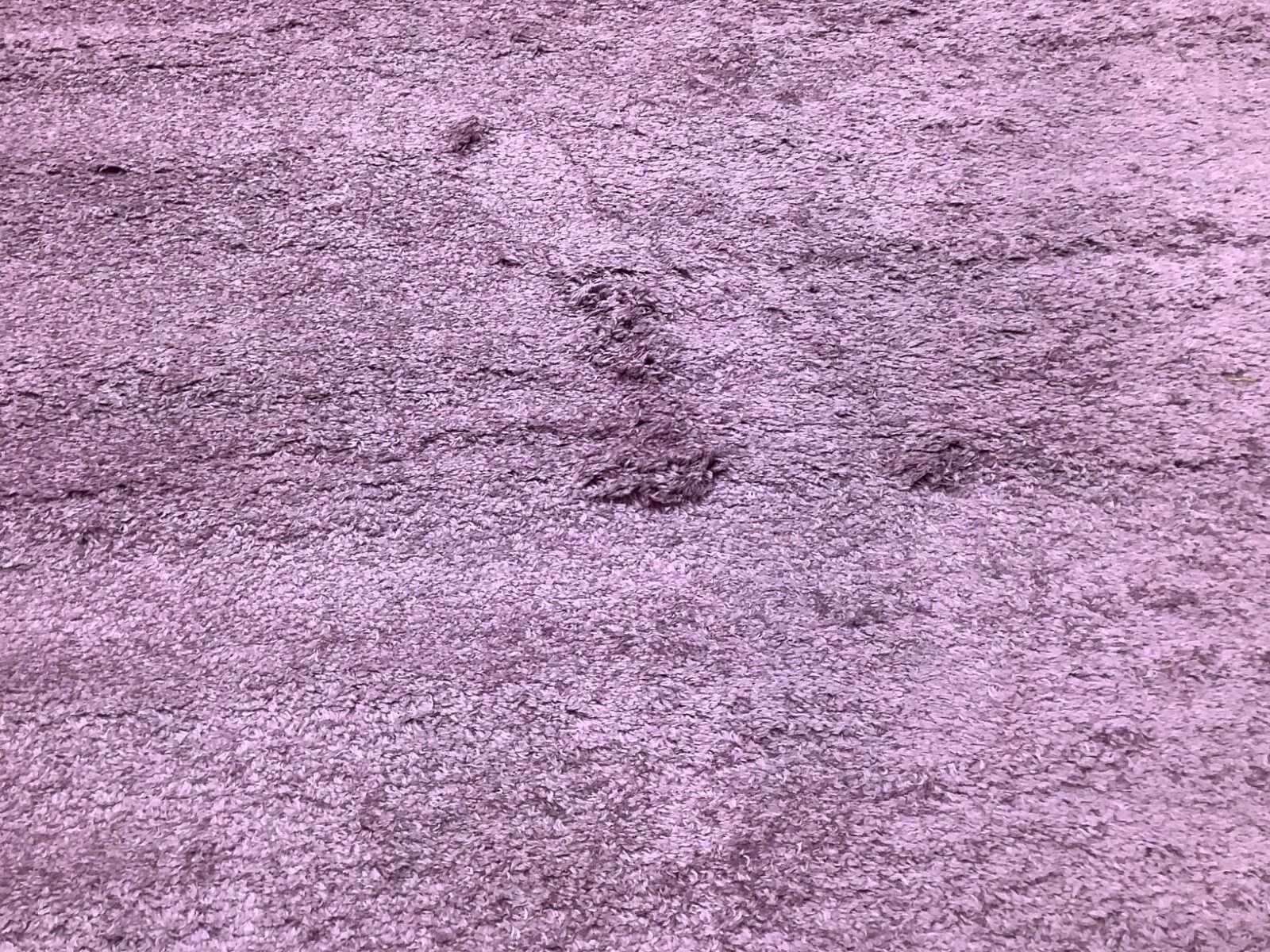 PURPLE 8′-0″ x 10′-0″ Flaw in Rug, Reduced Price 1172680270 SGI320P-8