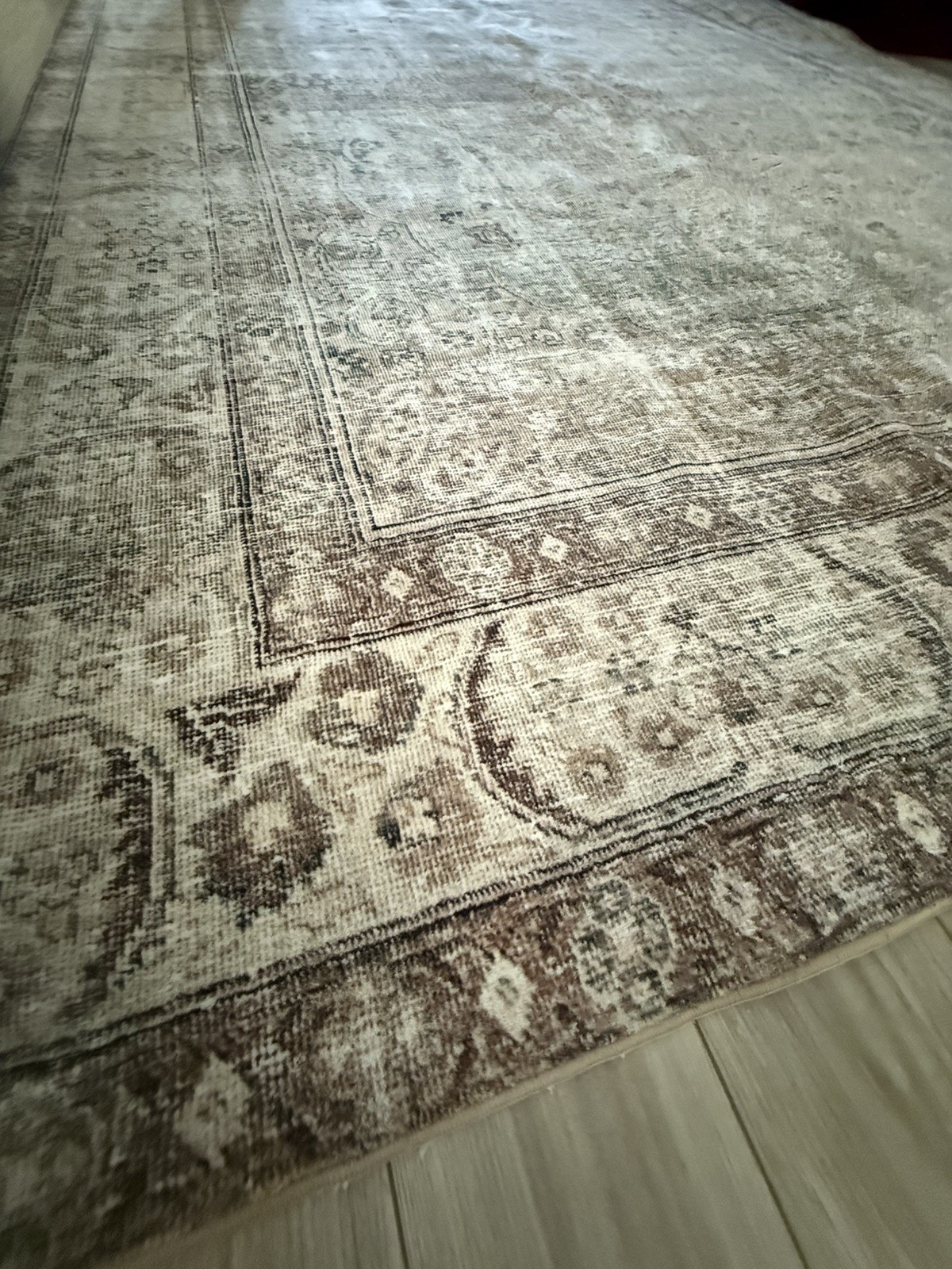 9 X 12 Antique/Sage polyester Area Rug