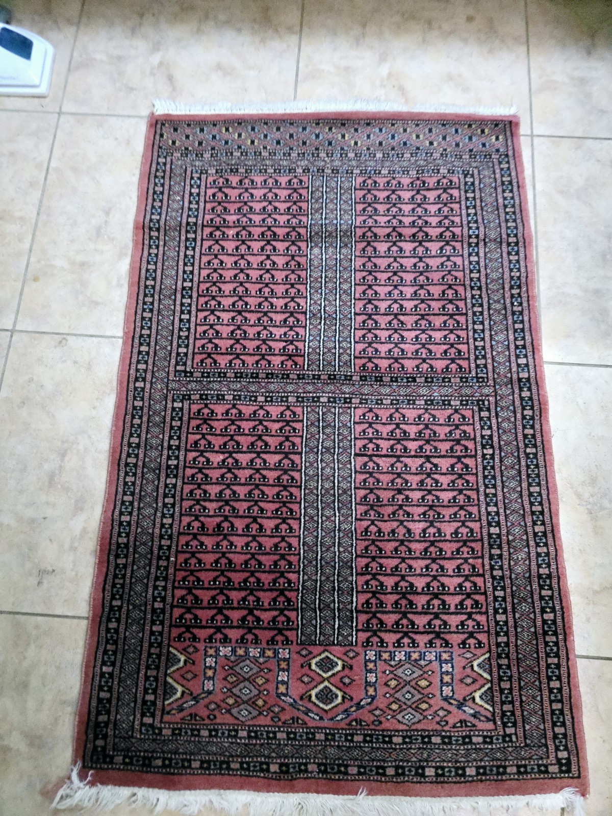 Oriental Rug 49×31″ Hand Knotted