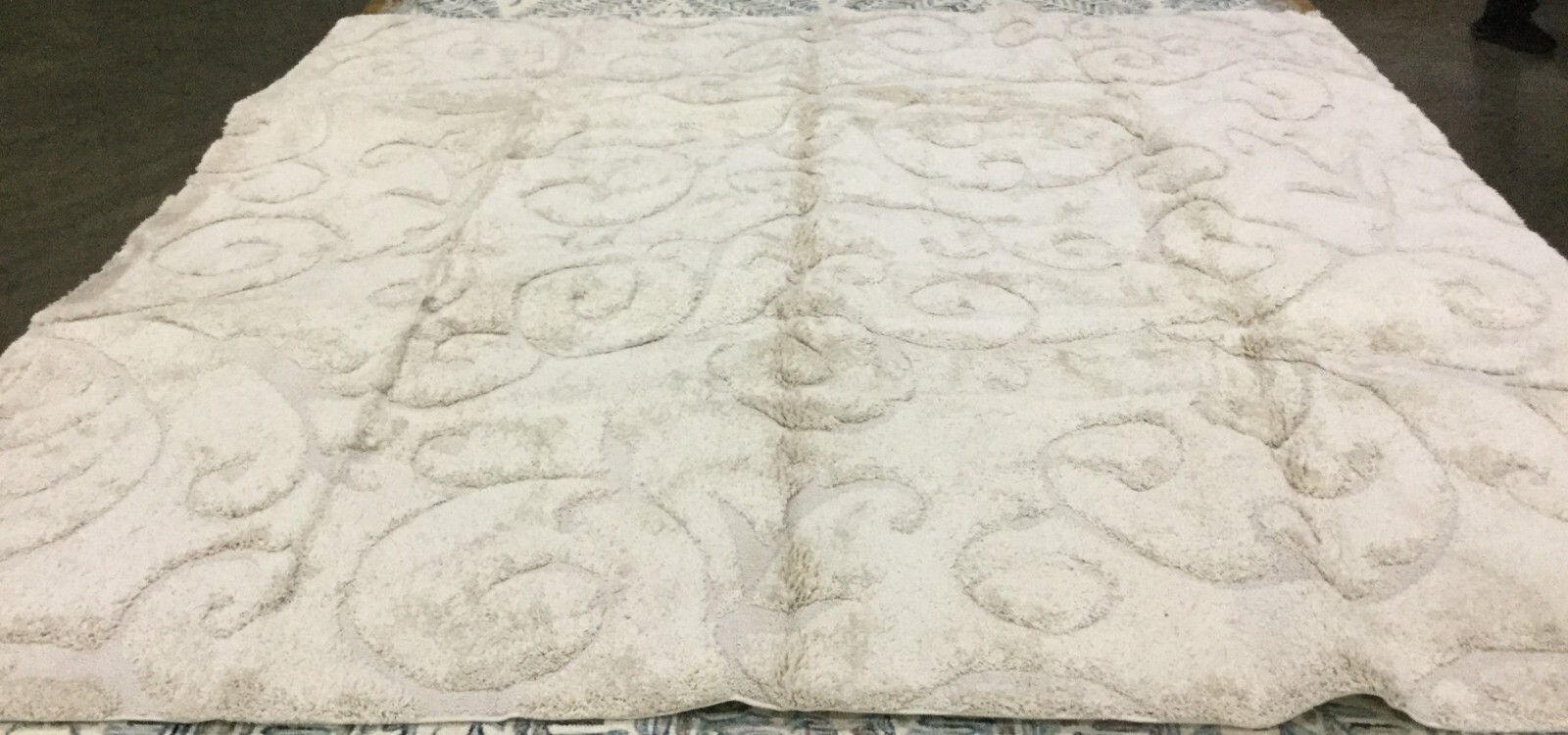 CREME / CREME 11′ X 11′ SQ Flaw in Rug, Reduced Price 1172658872 SG455-1111-11SQ
